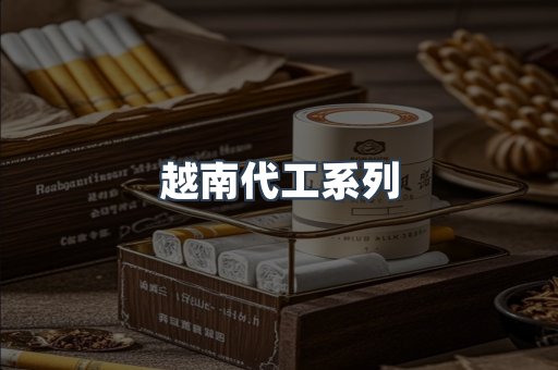 越南代工系列